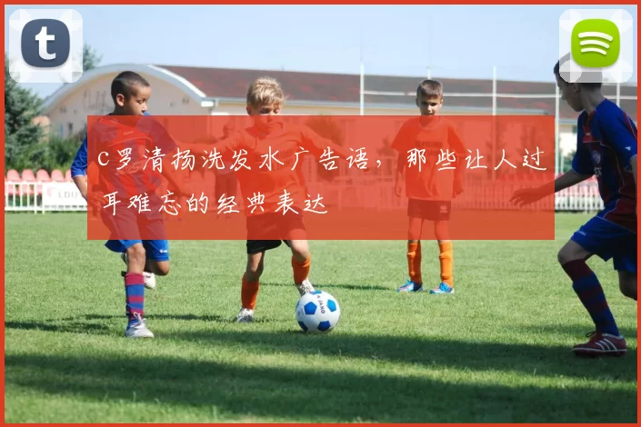 c罗清扬洗发水广告语，那些让人过耳难忘的经典表达