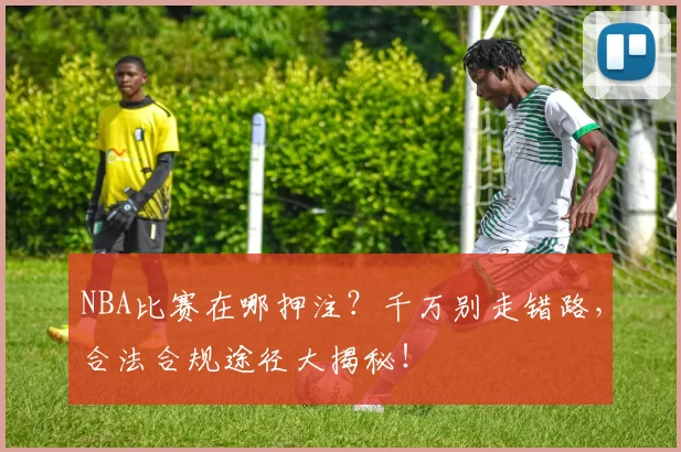NBA比赛在哪押注？千万别走错路，合法合规途径大揭秘！