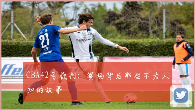 CBA42号裁判：赛场背后那些不为人知的故事