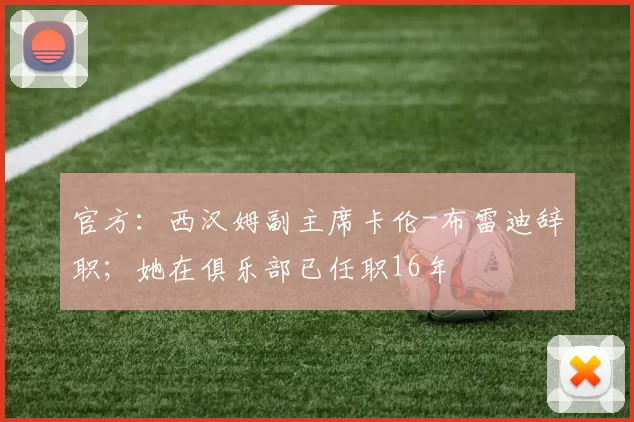 官方：西汉姆副主席卡伦-布雷迪辞职；她在俱乐部已任职16年